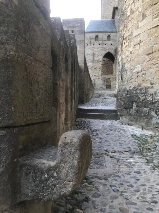 Le Clos Saint Michel Carcassonne Exterior photo